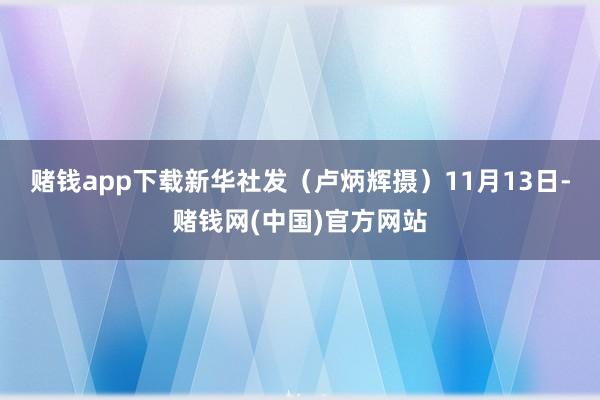 赌钱app下载新华社发（卢炳辉摄）　　11月13日-赌钱网(中国)官方网站