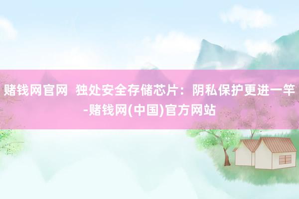 赌钱网官网  独处安全存储芯片：阴私保护更进一竿-赌钱网(中国)官方网站