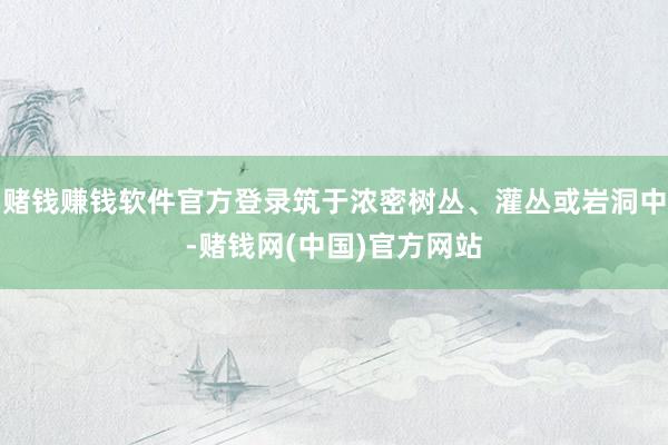 赌钱赚钱软件官方登录筑于浓密树丛、灌丛或岩洞中-赌钱网(中国)官方网站