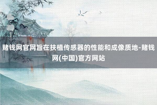 赌钱网官网旨在扶植传感器的性能和成像质地-赌钱网(中国)官方网站