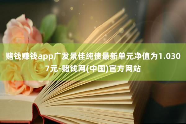 赌钱赚钱app广发景佳纯债最新单元净值为1.0307元-赌钱网(中国)官方网站