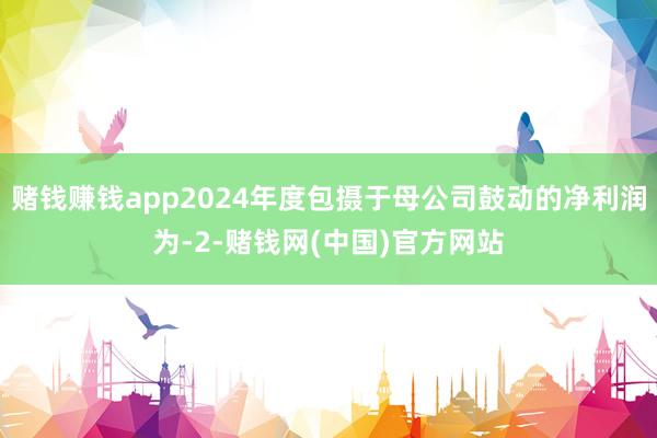 赌钱赚钱app2024年度包摄于母公司鼓动的净利润为-2-赌钱网(中国)官方网站