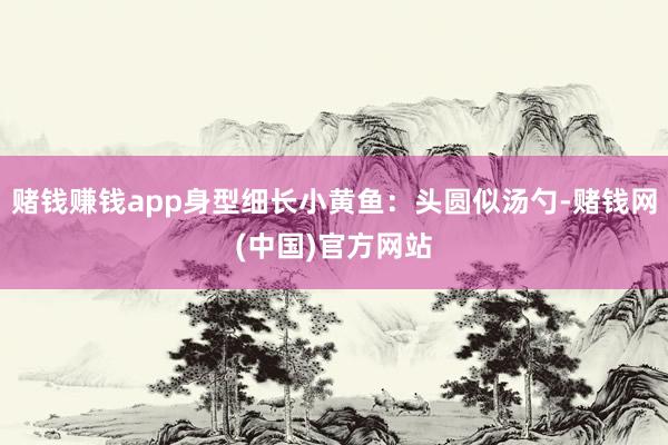 赌钱赚钱app身型细长小黄鱼：头圆似汤勺-赌钱网(中国)官方网站