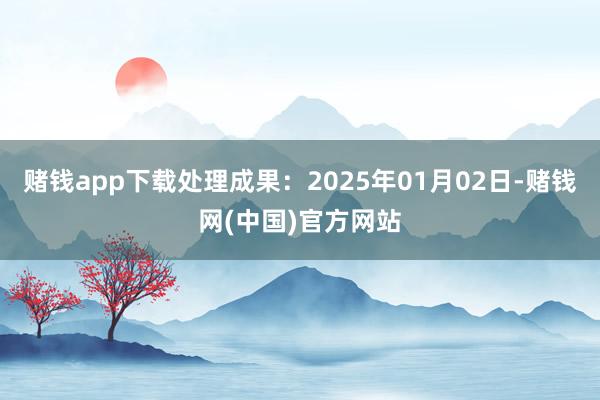 赌钱app下载处理成果：2025年01月02日-赌钱网(中国)官方网站